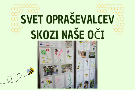 Svet opraševalcev skozi naše oči