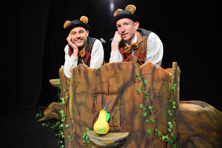 Zmeda za dva medveda