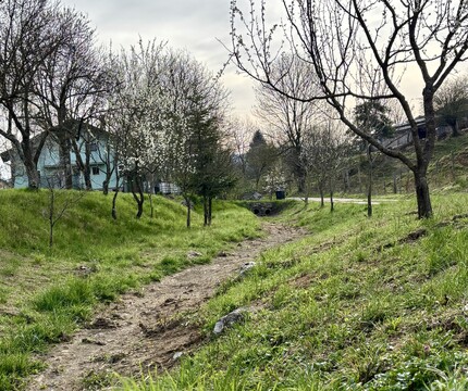 Vzdrževalna dela na strugi vodotoka v Petelinjah