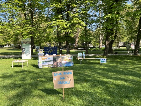 predstavitev Centra Dina na taborniškem festivalu