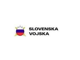 Simbolična fotografija: Slovenska vojska