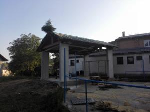 balar5