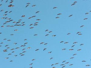 IMG_20190225_171536