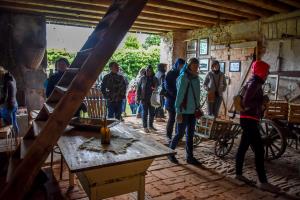 2019_5_summer_uni_slo-9