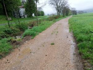 IMG_20190424_082652