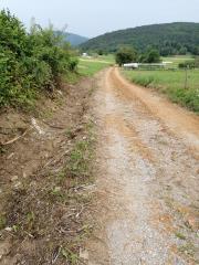 IMG_20190802_091133