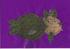 Rok Matko, 1. razred