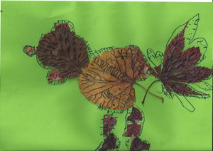 Sara Krebelj, 1. razred