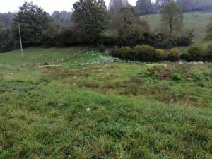 IMG_20191015_093046