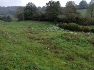 IMG_20191015_093132