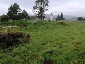 IMG_20191015_093216