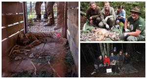 78254582_1399281650235553_163701505960968192_o