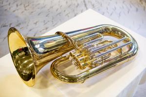 A-Hojs-PVZ-30