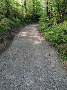 IMG_20210601_080342