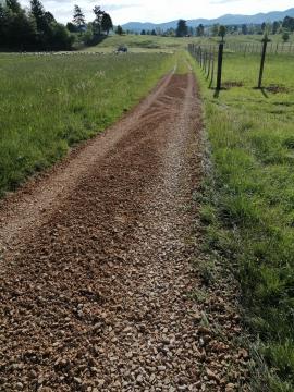 IMG_20210601_081207