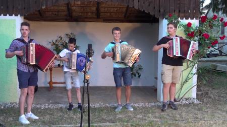Harmonikarji Matica Štavarja