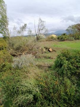 IMG_20211011_105115