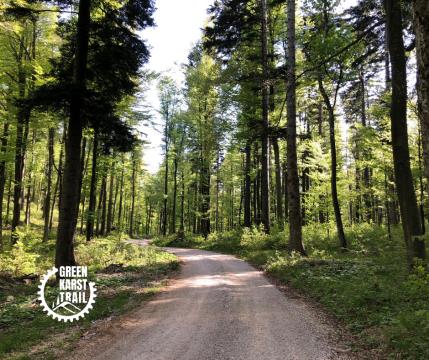 GKT_javorniski_gozdovi_bike_slovenia
