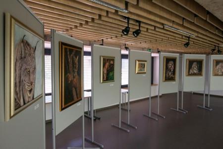 13_a_DanRisa_vDini2022-72