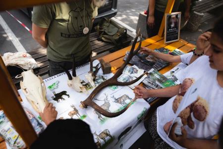 DanRisa_vDini2022-55