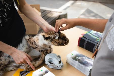 DanRisa_vDini2022-58