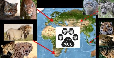 InterMucStudyAreasSpecies