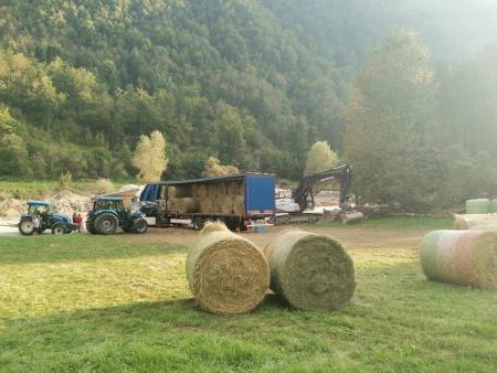 bale4