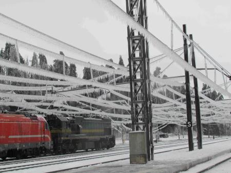 595775IMG_7140