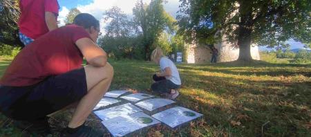 IMG_20240907_172803_134350