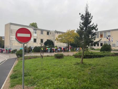 FB_IMG_1729252701648