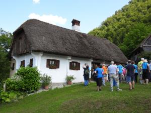 DSCN0955