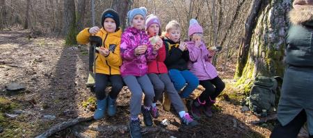 IMG_20250228_111502