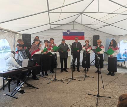 13 foto Alenka Furlan Čadež