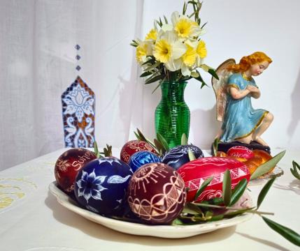 4 foto Alenka Furlan Čadež