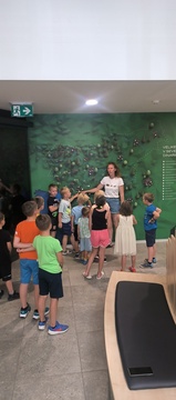 IMG_20250704_104127