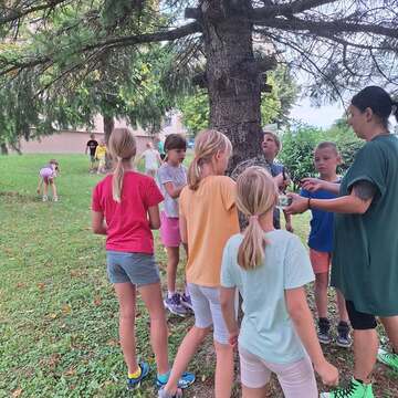 534723611_1196230549202884_1021093020141963705_n