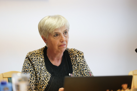 251002-obcinska-seja-pivka-11