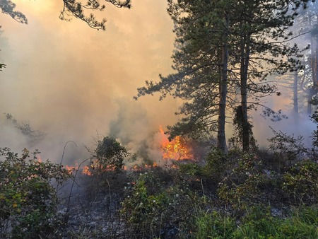 FB_IMG_1760847662727