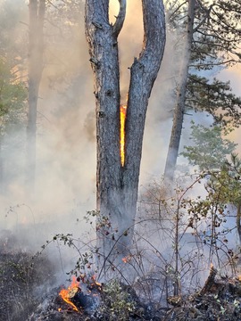 FB_IMG_1760847652113