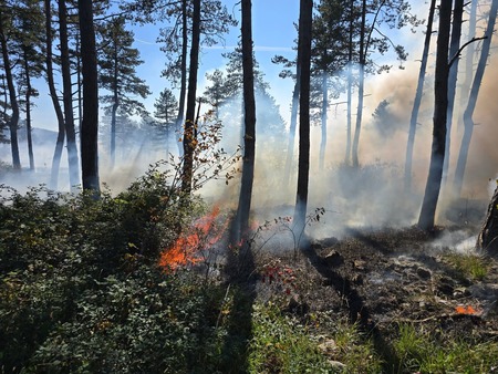 FB_IMG_1760847641127