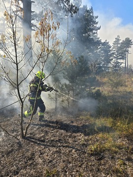 FB_IMG_1760847636030