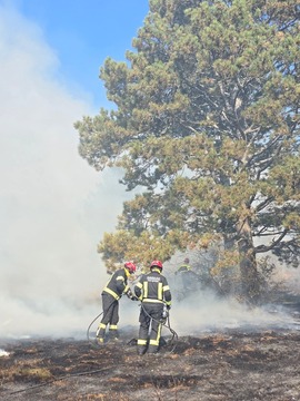 FB_IMG_1760847630198