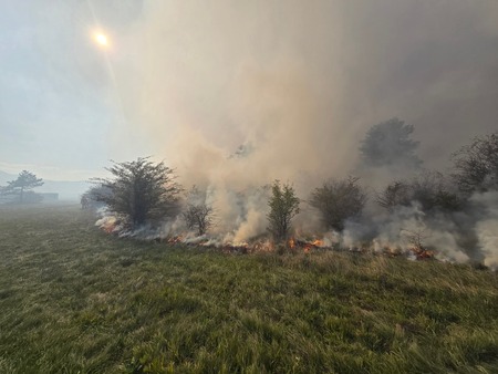 FB_IMG_1760847610134