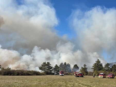 FB_IMG_1760847605333