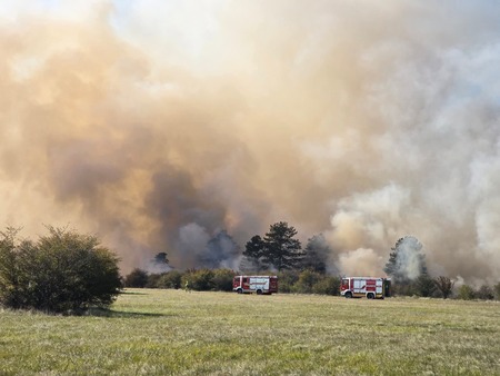 FB_IMG_1760847595486