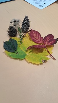 FB_IMG_1761574278961