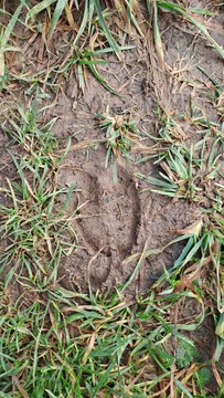 FB_IMG_1761574274289