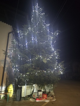 Image-3