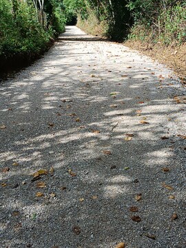 IMG_20250824_101620[1]