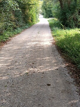 IMG_20250824_174624[1]